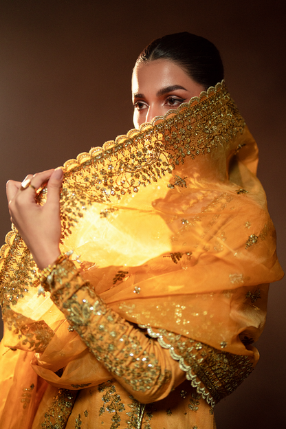 Emaan Adeel | Selene Formals | VELORIA M Pale Yellow Korean Raw Silk