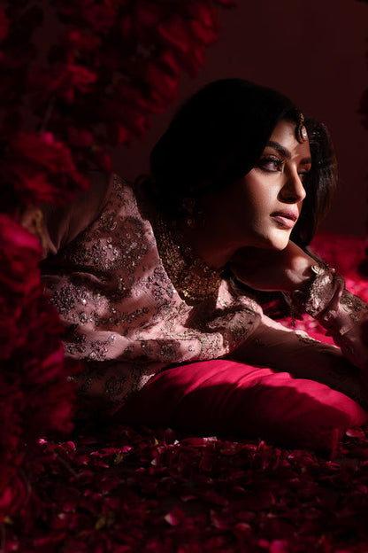 Emaan Adeel | Nooresha Formals 25 | Shaheena L Tea Pink Chiffon