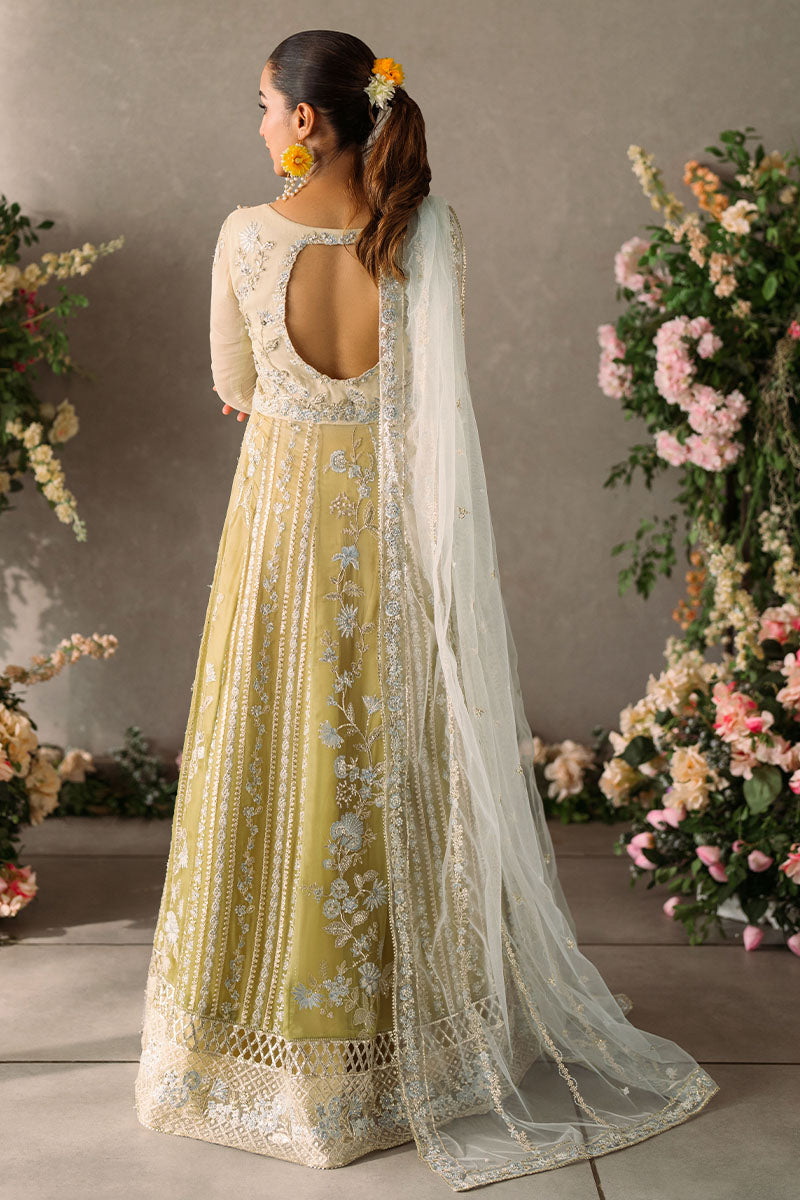 Mushq | Mastani Evening Luxury Chiffon | Hira - Pakistani Designer Dress - by Mushq | Type: Formal - 100% Original at Saira Sultan