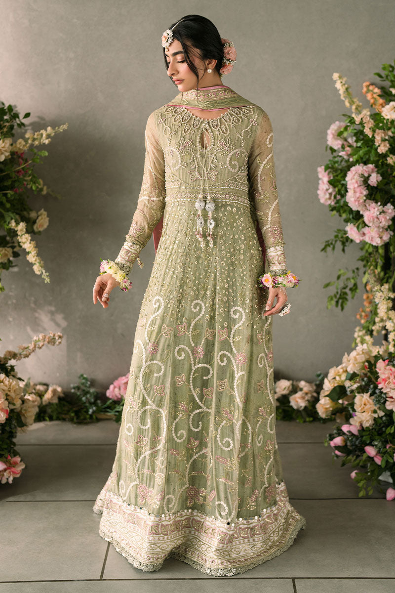 Mushq | Mastani Evening Luxury Chiffon | Namar - Pakistani Designer Dress - by Mushq | Type: Formal - 100% Original at Saira Sultan