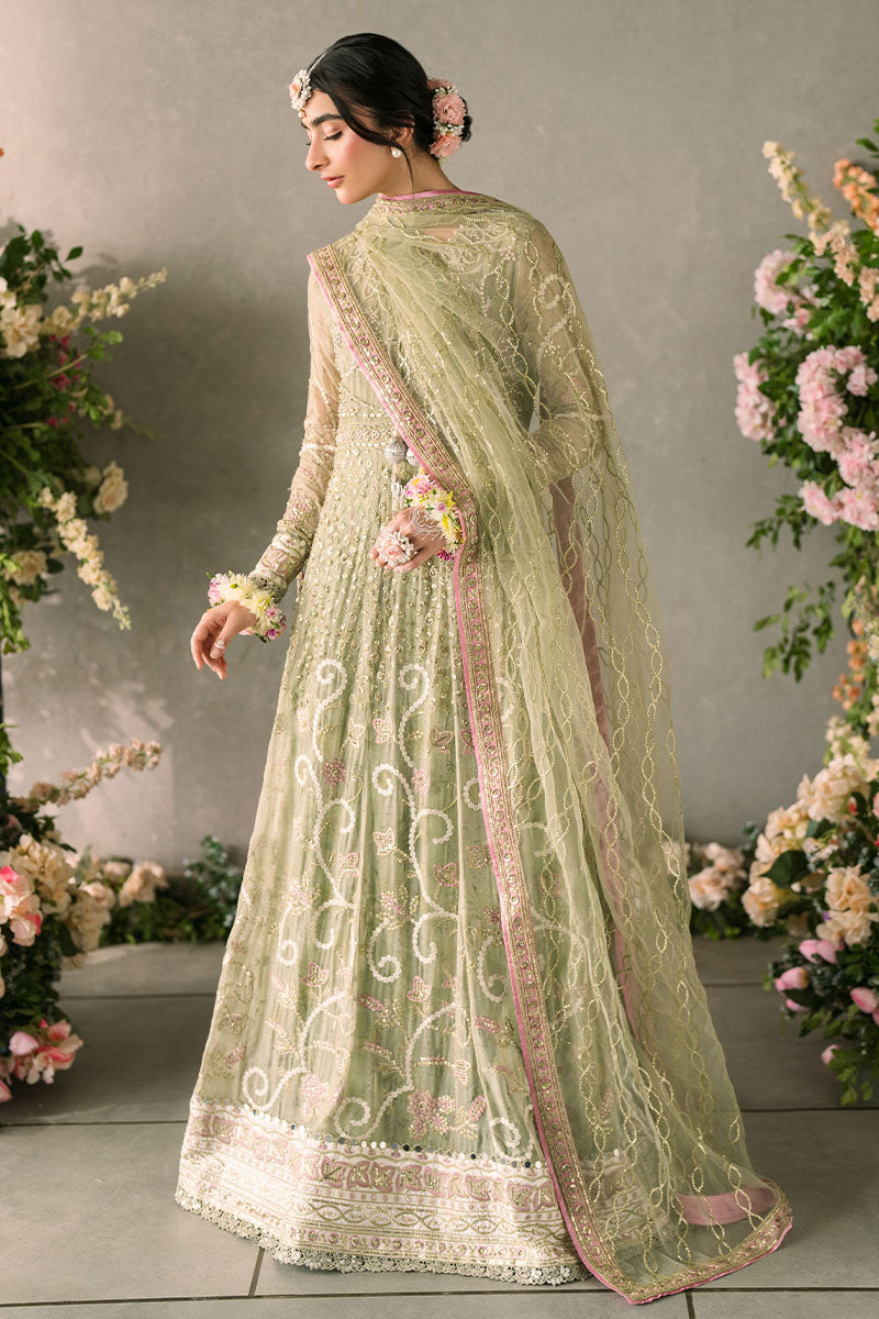 Mushq | Mastani Evening Luxury Chiffon | Namar - Pakistani Designer Dress - by Mushq | Type: Formal - 100% Original at Saira Sultan