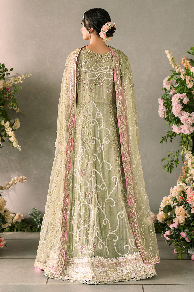 Mushq | Mastani Evening Luxury Chiffon | Namar - Pakistani Designer Dress - by Mushq | Type: Formal - 100% Original at Saira Sultan