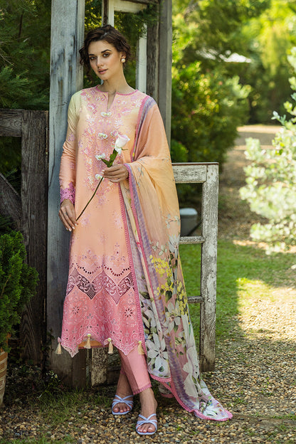 Mushq | Solace Ombre Chikankari | Risate S Pink Chikankari Lawn