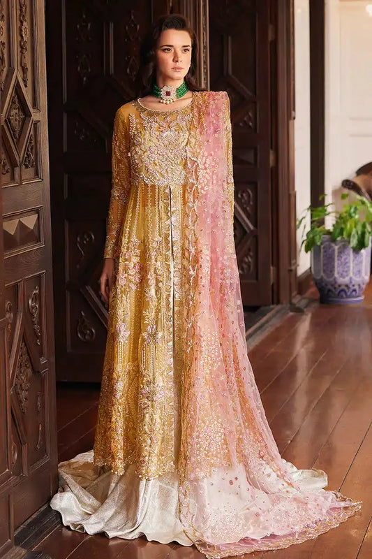 Mushq | Stardust Wedding Festive 23 | Sprinkle - Pakistani Designer Dress - by Mushq | Type: Bridal - 100% Original at Saira Sultan