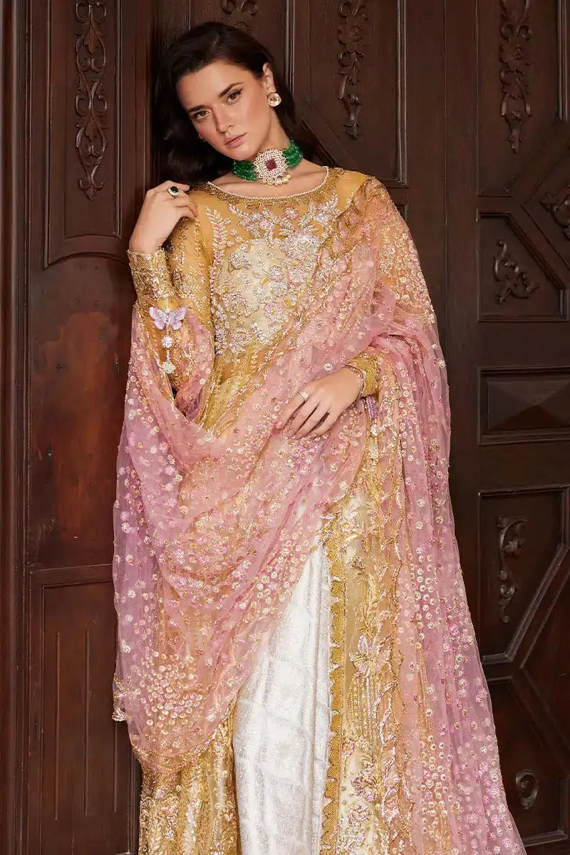 Mushq | Stardust Wedding Festive 23 | Sprinkle - Pakistani Designer Dress - by Mushq | Type: Bridal - 100% Original at Saira Sultan