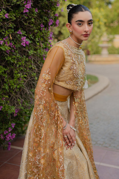 Mushq | Mann Mein Tu Wedding | SITARAY L Ivory Net