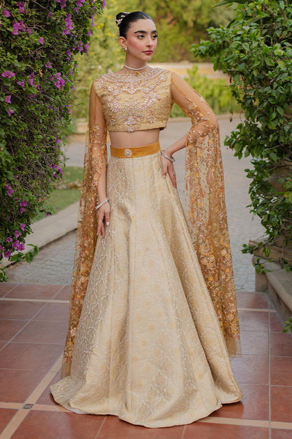 Mushq | Mann Mein Tu Wedding | SITARAY XL Ivory Net
