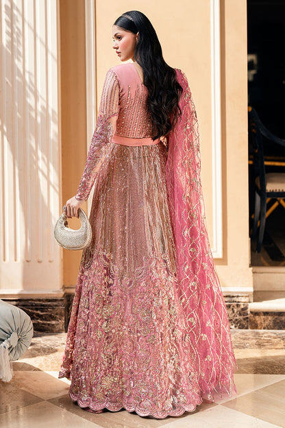 Mushq | Mann Mein Tu Wedding | BONAFIDE S Pink Net