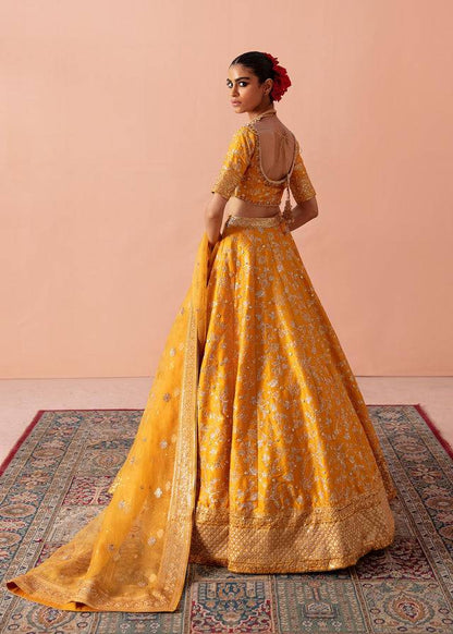 Waqas Shah | Madhubala | ZARI - Pakistani Designer Dress - by Waqas Shah | Type: Formal - 100% Original at Saira Sultan