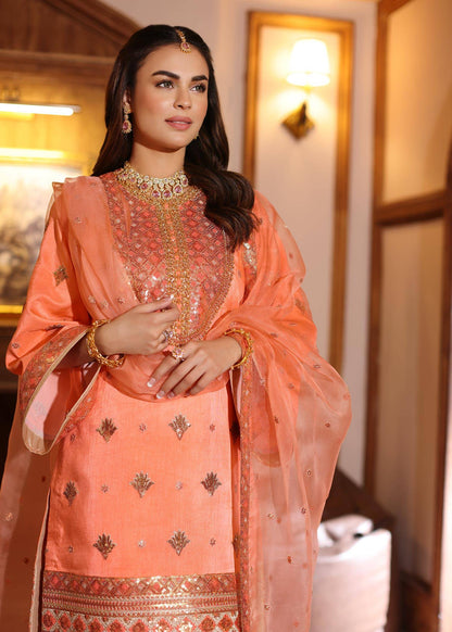 Waqas Shah | Meh-E-Nur | BLUSH - Pakistani Designer Dress - by Waqas Shah | Type: Bridal - 100% Original at Saira Sultan