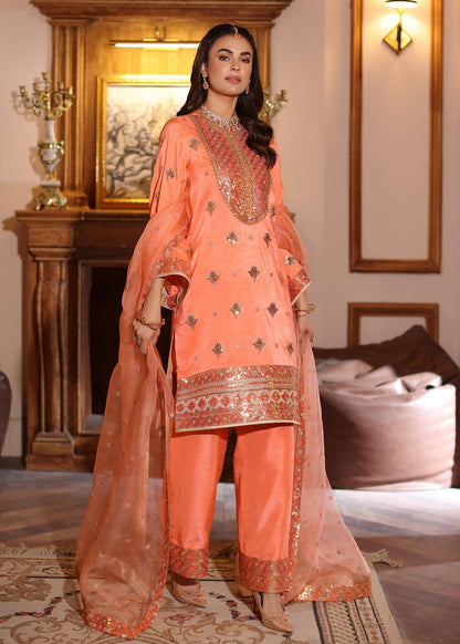 Waqas Shah | Meh-E-Nur | BLUSH - Pakistani Designer Dress - by Waqas Shah | Type: Bridal - 100% Original at Saira Sultan