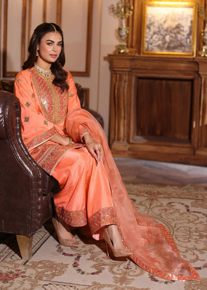 Waqas Shah | Meh-E-Nur | BLUSH - Pakistani Designer Dress - by Waqas Shah | Type: Bridal - 100% Original at Saira Sultan