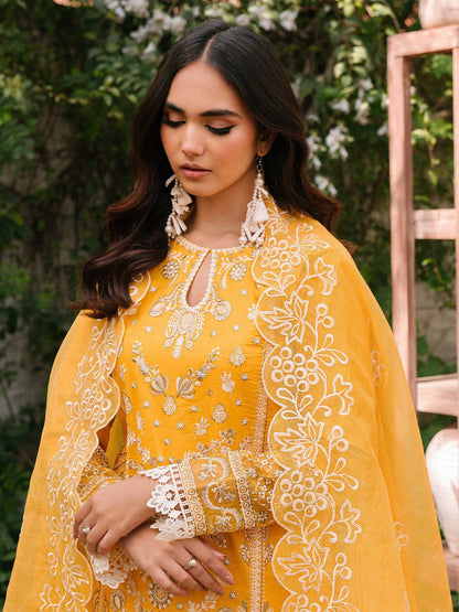 Mahnur | Masakali Luxury Lawn 24 | MK 06 - A - Pakistani Designer Dress - by Mahnur | Type: Luxury - 100% Original at Saira Sultan