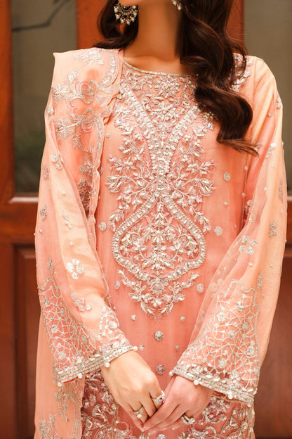 Maryum N Maria | Musk Formals | AUDACE - FS40034 M Organza Peach Pink