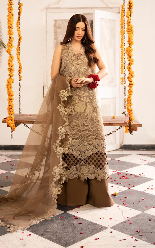 Asifa and Nabeel | Sunehri Eid 25 | Mehrunisa-(SEF25-07) XS Brown Net