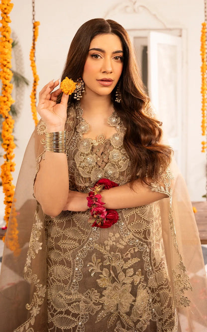 Asifa and Nabeel | Sunehri Eid 25 | Mehrunisa-(SEF25-07) XL Brown Net
