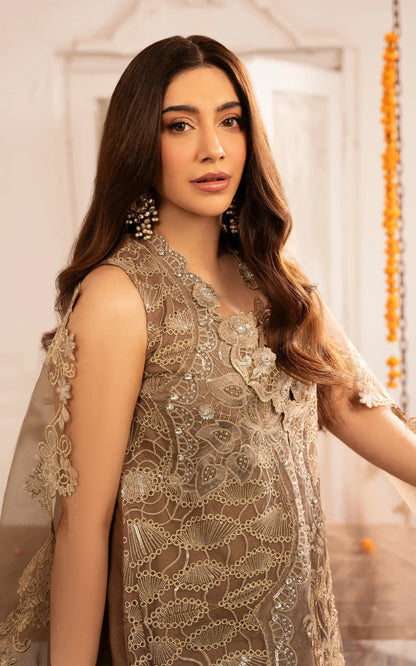 Asifa and Nabeel | Sunehri Eid 25 | Mehrunisa-(SEF25-07) Custom Size Brown Net