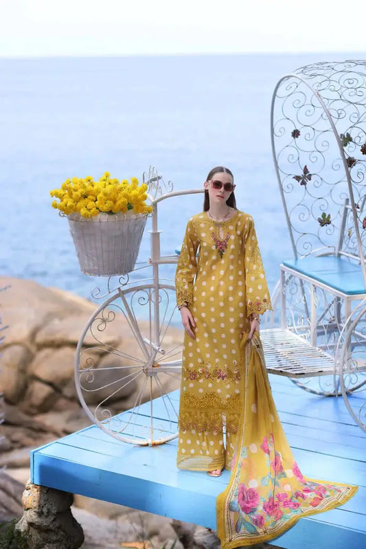 Noor by Saadia Asad | Luxe Printkari 24 | D6-B - Pakistani Designer Dress - by Noor by Saadia Asad | Type: Luxury - 100% Original at Saira Sultan