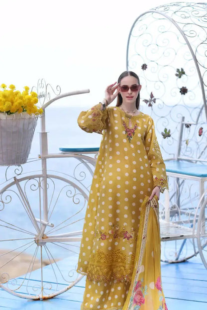 Noor by Saadia Asad | Luxe Printkari 24 | D6-B - Pakistani Designer Dress - by Noor by Saadia Asad | Type: Luxury - 100% Original at Saira Sultan