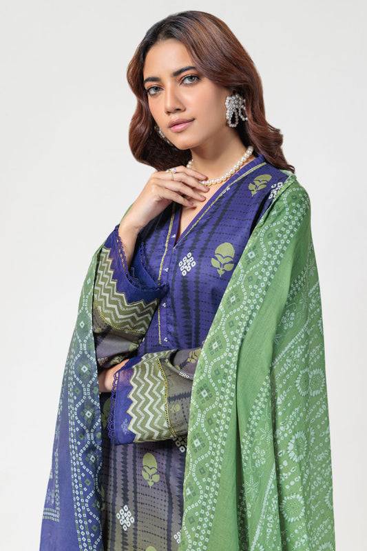 Bonanza Satrangi | Blue Lawn 3 Piece (PWS6243P14) 8 Blue