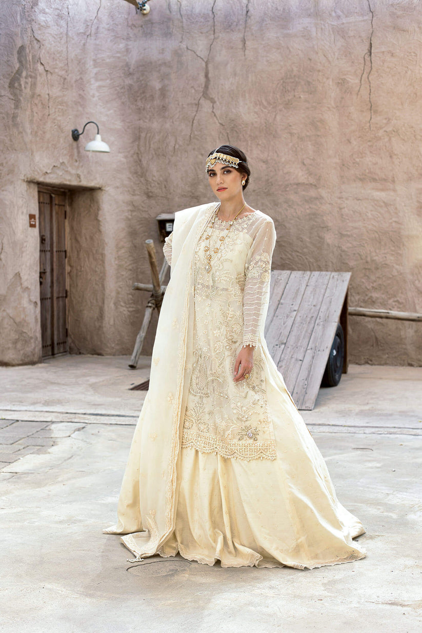 Kara | Kamdani Festive Collection | Pearl Whisper XS Ivory Cotton Net