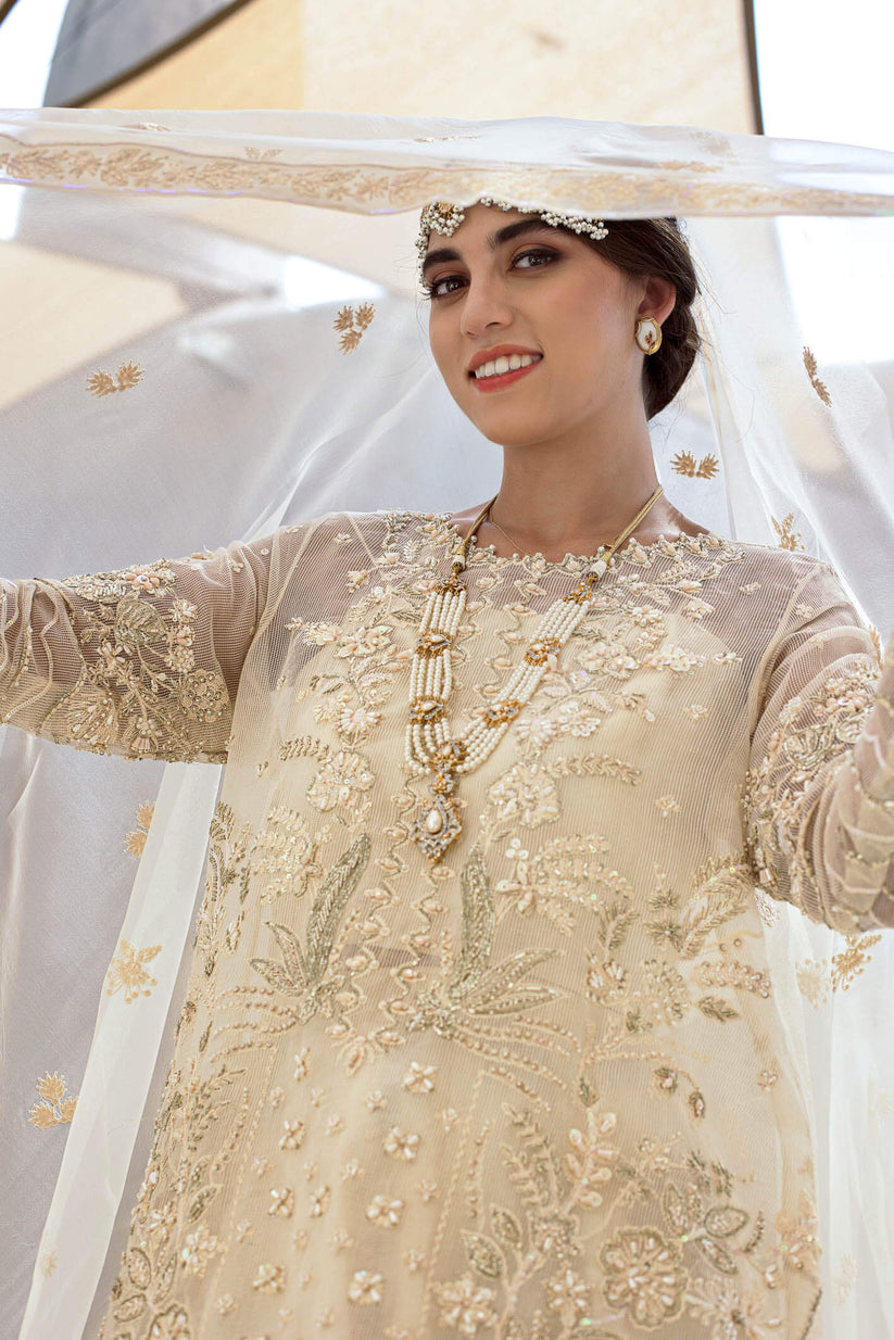Kara | Kamdani Festive Collection | Pearl Whisper M Ivory Cotton Net
