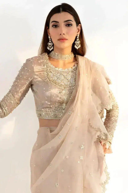 Qalamkar | Heer Ranjha 23 | HR-08 REENA - Pakistani Designer Dress - by Qalamkar | Type: Bridal - 100% Original at Saira Sultan