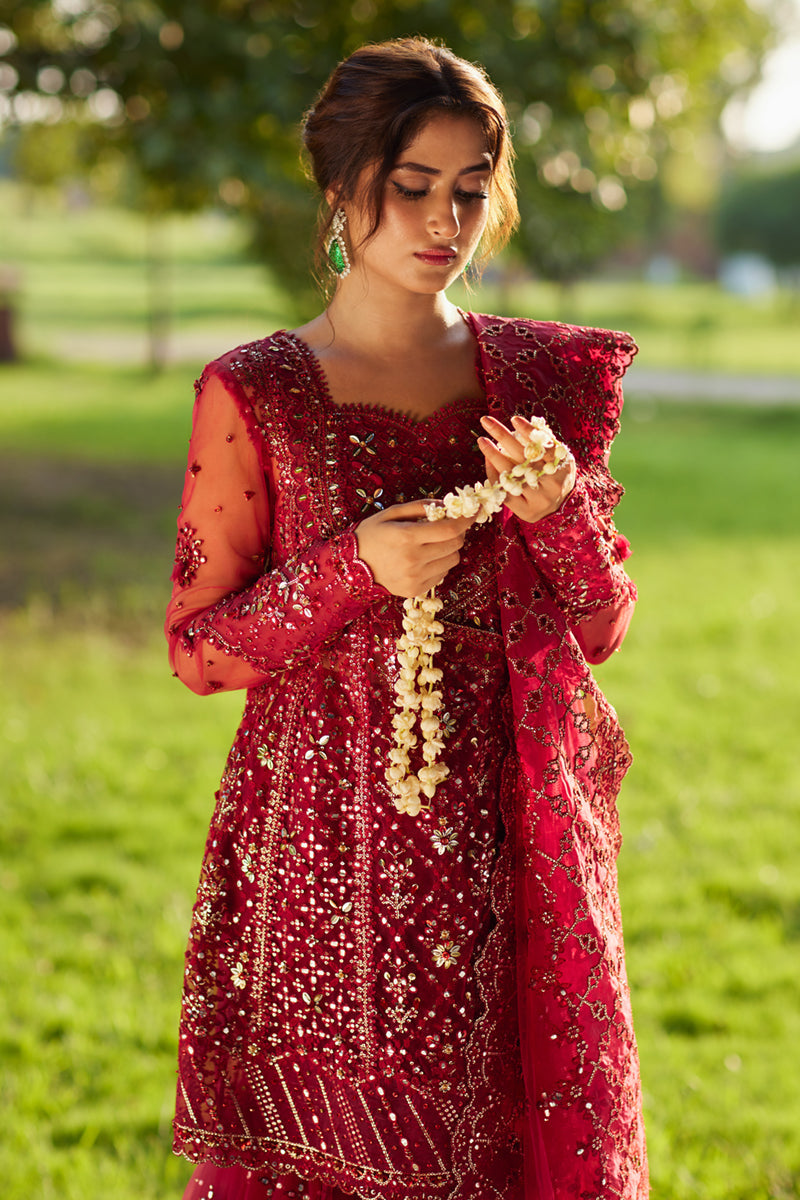 Qalamkar | Shadmani Luxury Formals | Nurah SH-07 M Haute Red Net