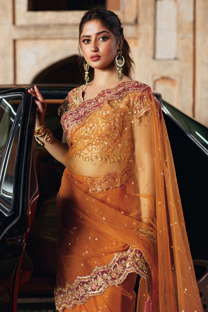 Qalamkar | Shadmani Luxury Formals | Raniya SH-02 L Orange Khaadi Net Canvas