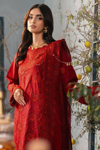 Rajbari | Chikankari Edition 24 | RJB-08 - Pakistani Designer Dress - by Rajbari | Type: Luxury - 100% Original at Saira Sultan