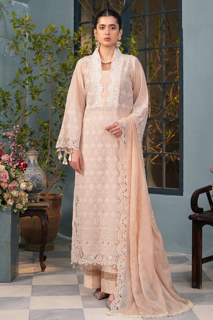 Rajbari | Chikankari Edition 24 | RJB-03 - Pakistani Designer Dress - by Rajbari | Type: Luxury - 100% Original at Saira Sultan