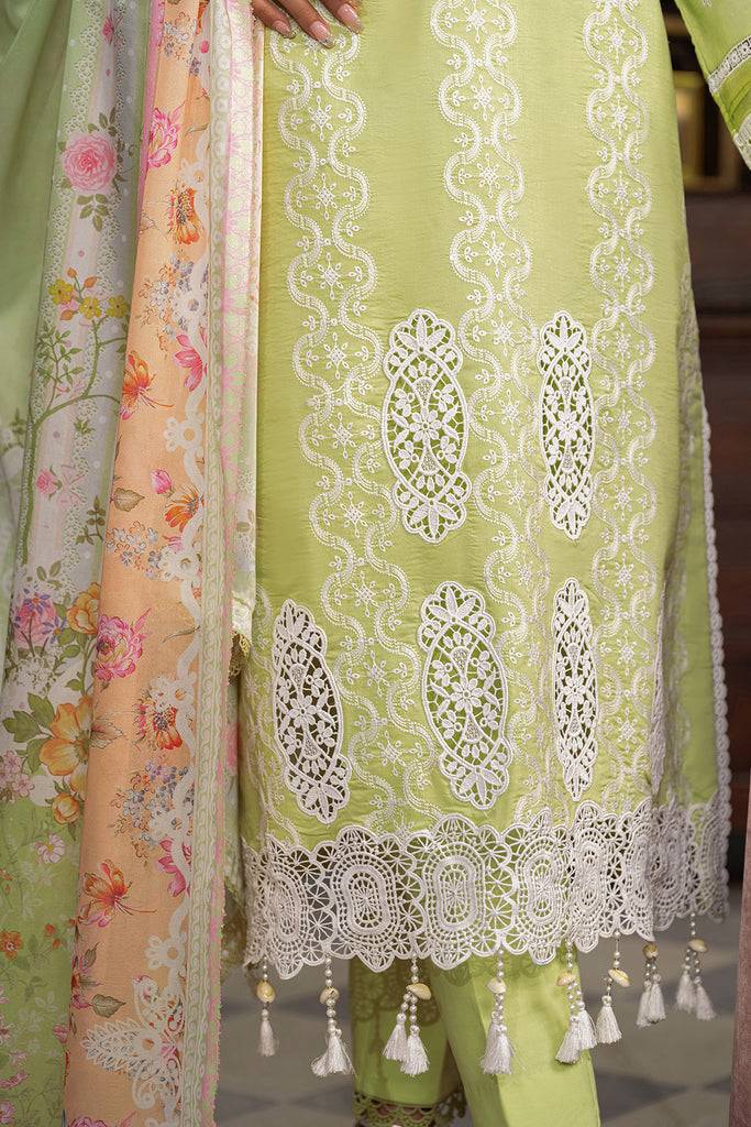 Rajbari | Chikankari Edition 24 | RJB-11 - Pakistani Designer Dress - by Rajbari | Type: Luxury - 100% Original at Saira Sultan