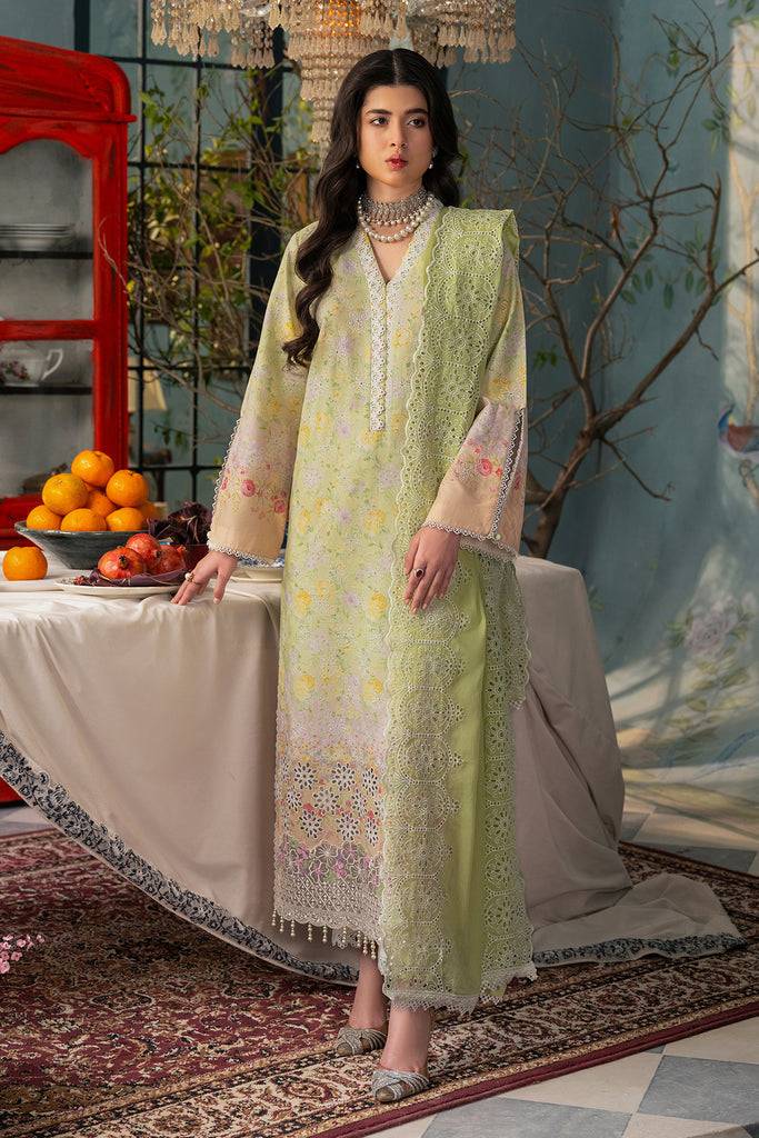 Rajbari | Chikankari Edition 24 | RJB-07 - Pakistani Designer Dress - by Rajbari | Type: Luxury - 100% Original at Saira Sultan