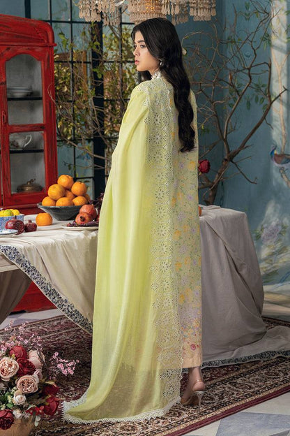 Rajbari | Chikankari Edition 24 | RJB-07 - Pakistani Designer Dress - by Rajbari | Type: Luxury - 100% Original at Saira Sultan