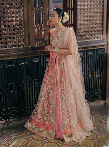 Roheenaz | Pehli Si Muhabbat Wedding Collection | Shafaq XL Pale Peach Net