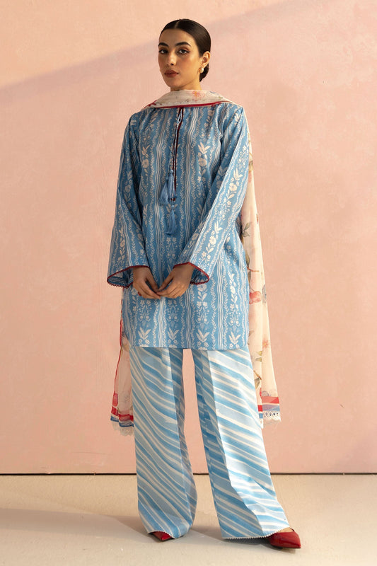 Zara Shahjahan | Coco Prints 25 | Ruby-9B XS Sky Blue Lawn