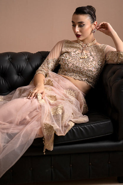 Imrozia Premium | Lumiere Luxury Sarees | 01 Rose Clair - Pakistani Designer Dress - by Imrozia Premium | Type: Formal - 100% Original at Saira Sultan