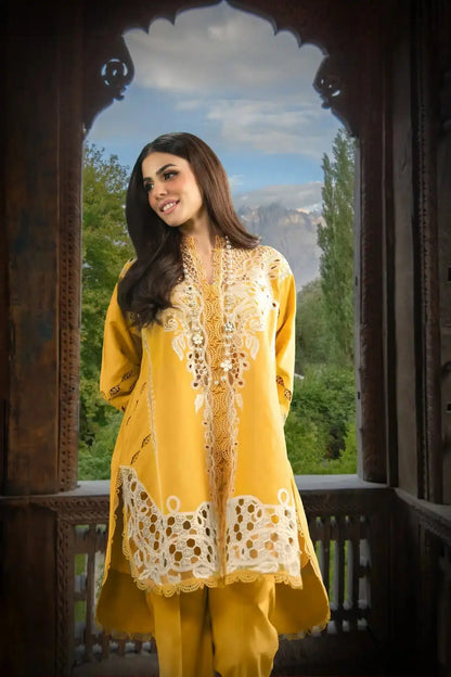Sable Vogue | Winter 23 | SWC-05-23 - Pakistani Designer Dress - by Sable Vogue | Type: Luxury - 100% Original at Saira Sultan
