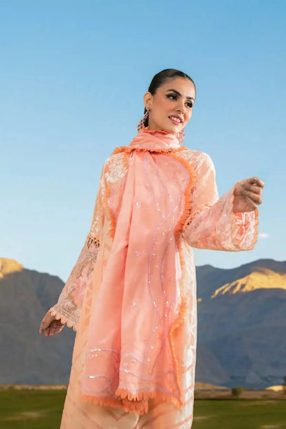 Sable Vogue | Winter 23 | SWC-01-23 - Pakistani Designer Dress - by Sable Vogue | Type: Luxury - 100% Original at Saira Sultan