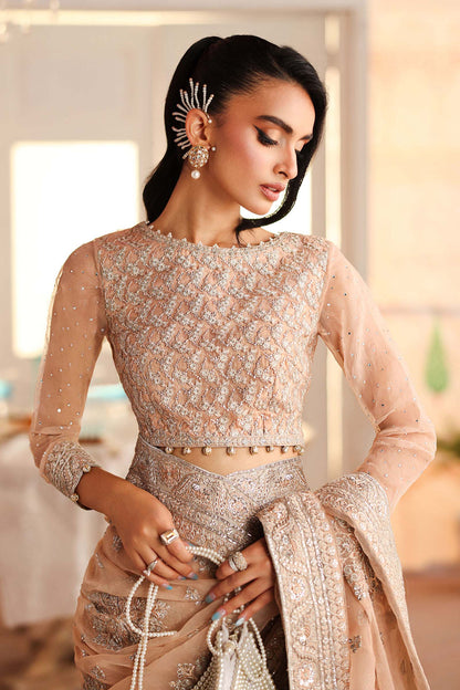 Maria B | Pre Fall Dresses | Embroidered Organza Saree Peach - Pakistani Designer Dress - by Maria B - Type : Ladies Clothes - 100% Original at Saira Sultan