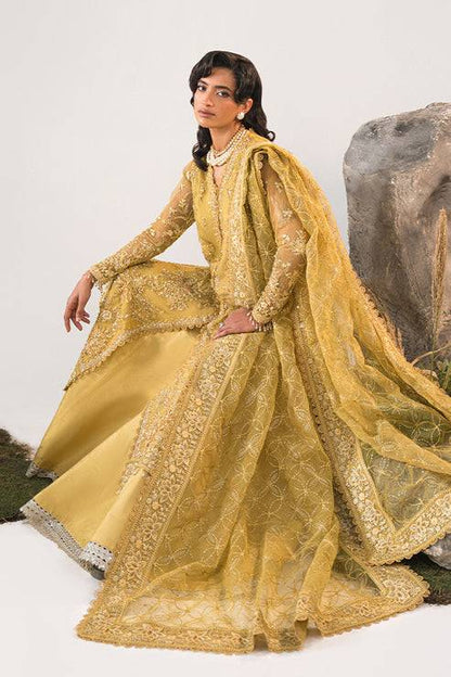 Saffron | Celeste Festive Edit 24 | Elmira - Pakistani Designer Dress - by Saffron | Type: Formal - 100% Original at Saira Sultan