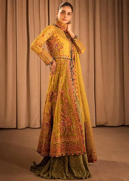 HSY | Rehana Collection 2023 | Ronak - Pakistani Designer Dress - by HSY | Type: Formal - 100% Original at Saira Sultan