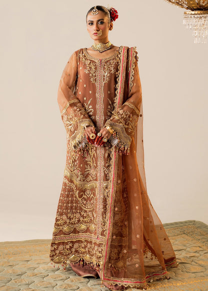 Shurooq | Zara Edit 24 | Naulakha XS Brown Organza