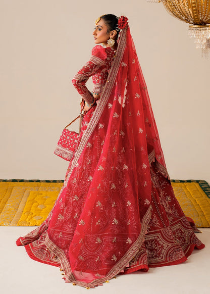 Shurooq | Zara Edit 24 | Bahaar S Coral Pink Organza