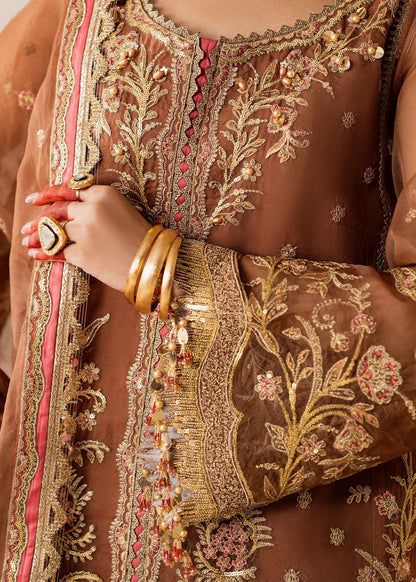 Shurooq | Zara Edit 24 | Naulakha M Brown Organza