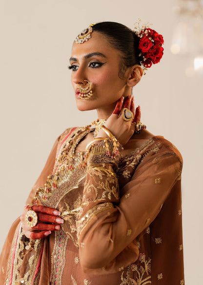 Shurooq | Zara Edit 24 | Naulakha L Brown Organza