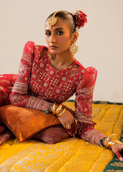 Shurooq | Zara Edit 24 | Bahaar M Coral Pink Organza