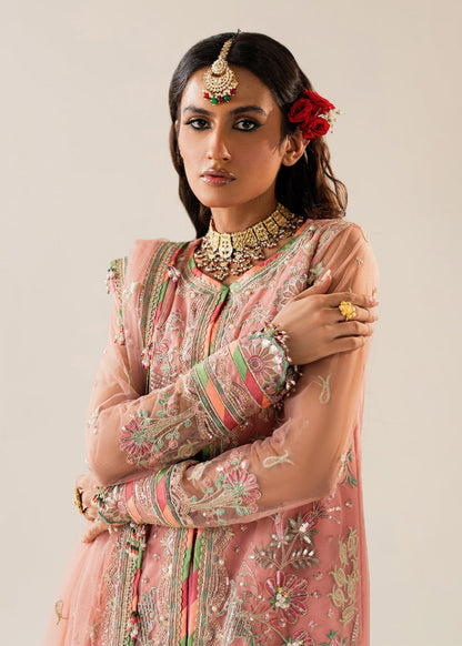 Shurooq | Zara Edit 24 | Amtul