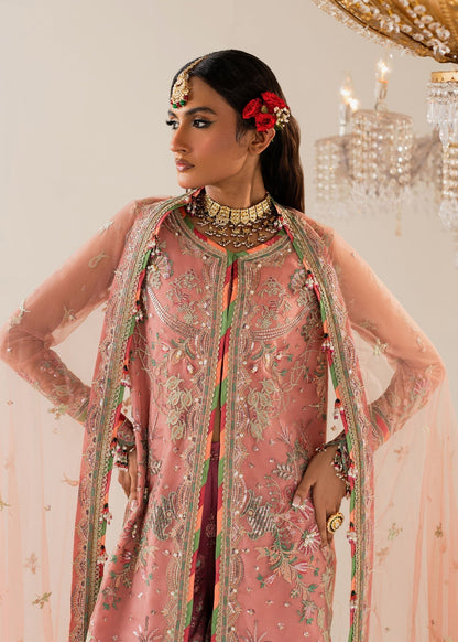 Shurooq | Zara Edit 24 | Amtul L Tea Pink Net