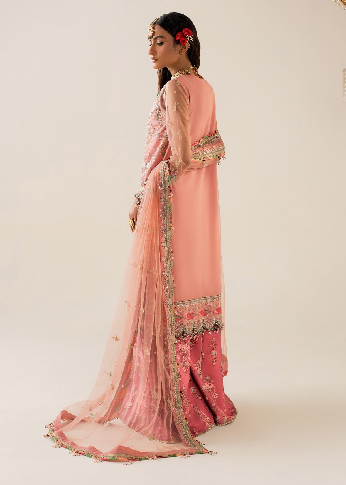 Shurooq | Zara Edit 24 | Amtul S Tea Pink Net